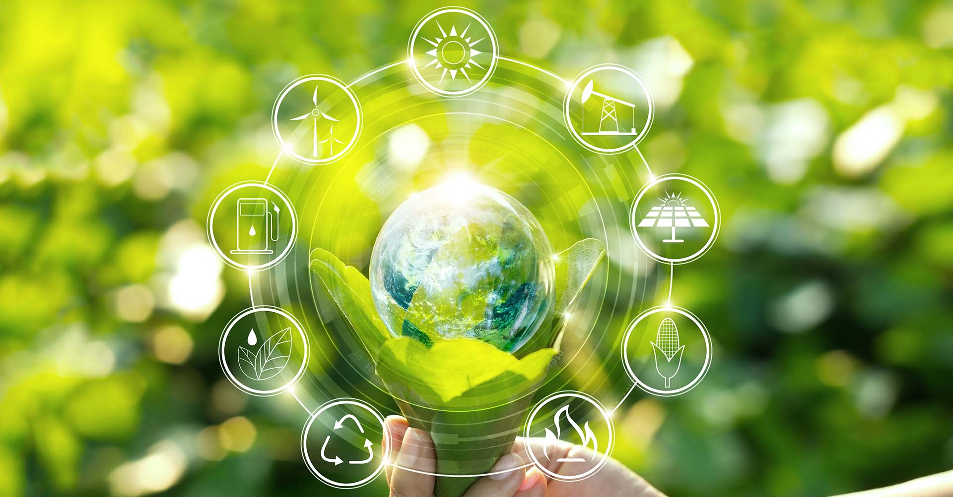 Nachhaltig denken, nachhaltig investieren: Praktische Ansätze für nachhaltige Geldanlagen